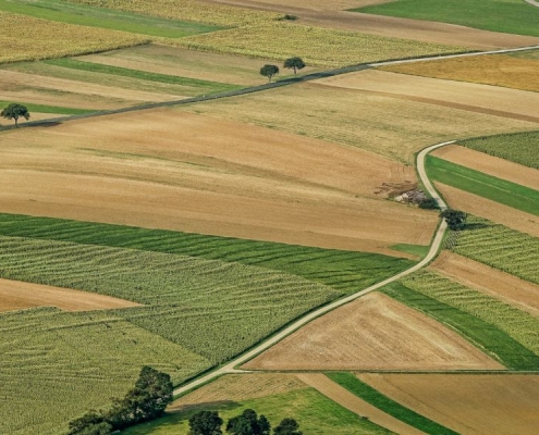 Agriculture Property